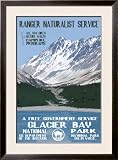 Glacier Bay Framed Poster Print, 34x46