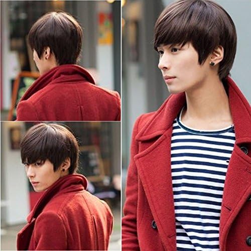 Sanheshun Aircraft Wig Handsome Student Korean Men and Boys Short Hair Wig (Deep Brown-01)