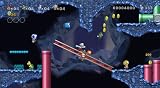 New Super Mario Bros. Wii