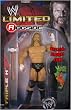 TRIPLE H (HHH) INTERNET EXCLUSIVE WWE TOY WRESTLING ACTION FIGURE