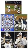 New York Yankees 2009 World Series Champs 8x10 PHOTO SET 5
