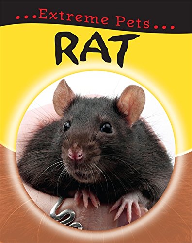Rat (Extreme Pets)