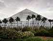 Blustery Skies Over Moody Gardens, Galveston, Texas - Stellar 16x20-inch Photographic Print by Carol M. Highsmith