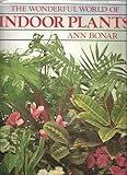 The wonderful world of indoor plants