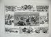 1884 BUFFALO HUNTING NORTH AMERICA ANIMALS SPORT HORSES