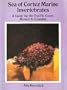 Sea of Cortez Marine Invertebrates: A Guide for the Pacific Coast, Mexico to Ecuador