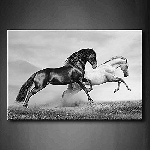 Fitting You Canvas Black And White Horses In Summer Black And White Running On Freedom Grassland Wall Art Painting Picture Print On Canvas Animal Pictures