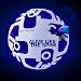 Jeff Bujak-Alive Like the Spine (Dig)