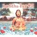 Buddha Bar Xiii
