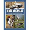 Birds of Kansas