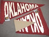 Red & White University of Oklahoma Sooners Plush Pennant Area Rug / Floor Mat