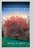 It's Beginning to Hurt: Stories