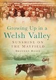 Growing up in a Welsh valley : sunshine on the Mayfield