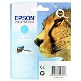 Epson T0712 Cartouche d'encre d'origine DURABrite Ultra cyan pour D78 D92 DX4050 4450 5050 6050 7000Fpar Epson