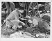 Search : YOUNG BUFFALO BILL ROY ROGERS PAULINE MOORE BWS927-41 8X10 PHOTO