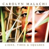 Lions Fires & Squares