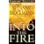 Into the Fire (Troubleshooters)