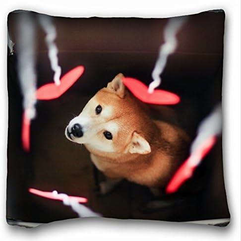 Custom Animals Dog Akita Inu - Box Blurring 18"*18" Two Side Pillow Case