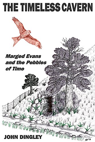 The Timeless Cavern: Marged Evans and the Pebbles of Time, by John Dingley