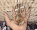 The Incredible Jerusalem Compass