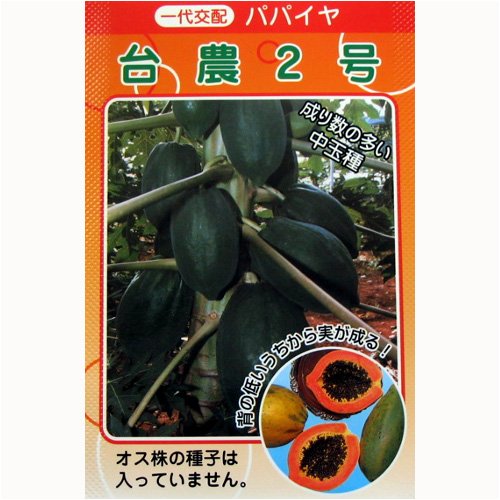Cover image : パパイヤ台農2号(一代交配)　数量:約20粒