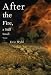 After the Fire, a Still Small Voice: A Novel