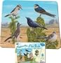 Wild Republic Puzzle St.Bird Southwest 50 Piece