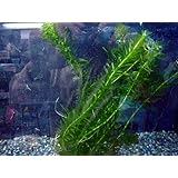 ���i�̏ڍ�