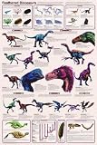 Feathered Dinosaurs Poster