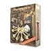 The Keys to the Bible - The Best and Richest Bible Program Ever Made!