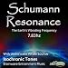 Schumann Resonance 7.83Hz Isochronic Tones With Underwater Whale Sounds