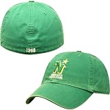 Twins Enterprise Minnesota North Stars Franchise Fitted Hat