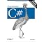 Learn to program in .NET!
