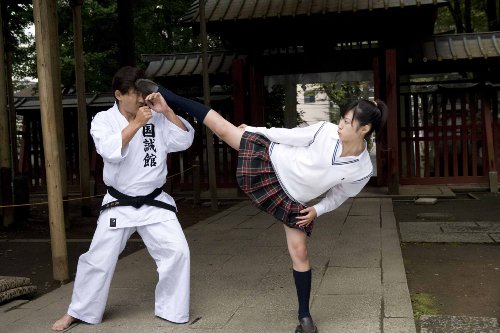 ハイキック・ガール! [DVD]