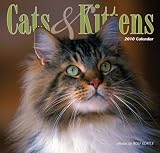 Cats & Kittens 2010 Wall Calendar