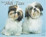 Just Shih Tzus 2008 Wall Calendar