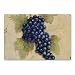Magic Slice Non Slip Flexible Cutting Boards Grapes Design (7.5" x 11")