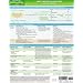 MemoCharts Pharmacology: Drug Therapy for Glaucoma (Review chart) (Paperback)