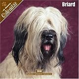 Briard 2008 Wall Calendar