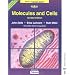 Biology-the best list ever for A level students.