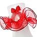 Girls Celebration Nylon Socks with Organza Trim