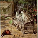 Kronheim's White Cats Sitting in a Bench Near a Greenhouse, from