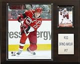 NHL Rod Brind'Amour Carolina Hurricanes Player Plaque