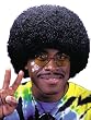 High Afro Black Wig 1960 Hippie Jimmy Hendrix Theatre Costumes Accessory