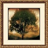IMAGE OF Old Gold Framed Art Print by Linda Plaisted, 17.60 in. x 17.60 in. Framed