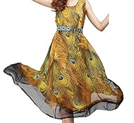 Belted Stretchy Feathers Sleeveless Chiffon/Polyester Paisley Maxi Dress 