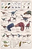(24x36) Laminated Feathered Dinosaurs Educational Science Chart Poster
