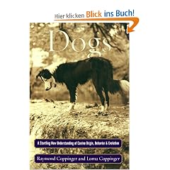 Dogs: A Startling New Understanding of Canine Origin, Behavior & Evolution
