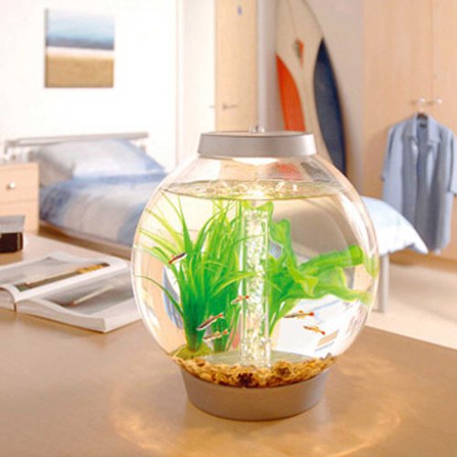 Baby biOrb Aquarium with LED Light, Silver, 4 Gallons