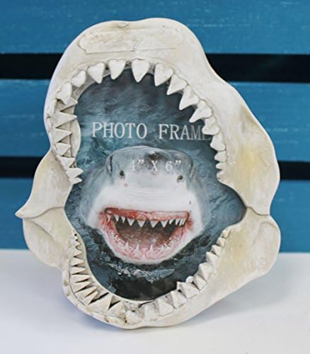 Shark Jaw 4x6 Picture Frame